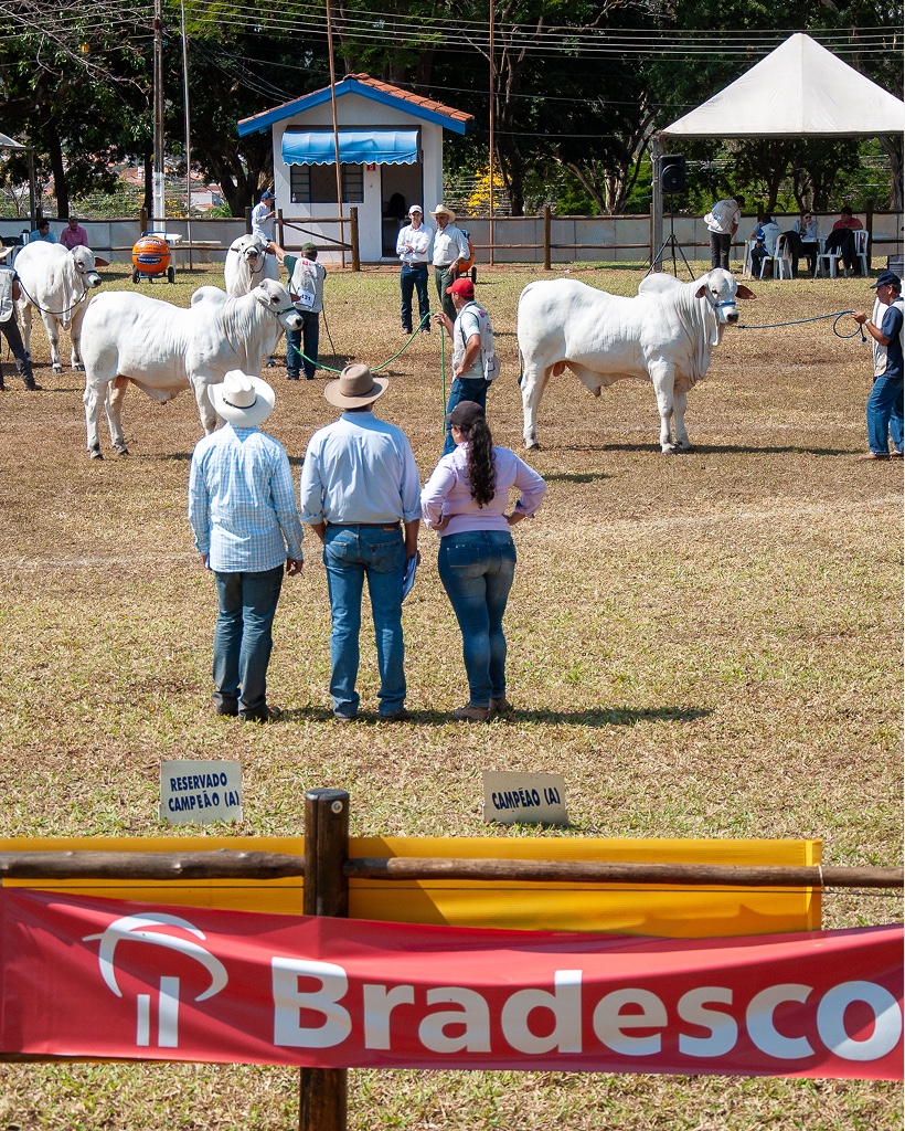 Cobertura audiovisual da Ello Media em evento agropecuário de Ribeirão Preto